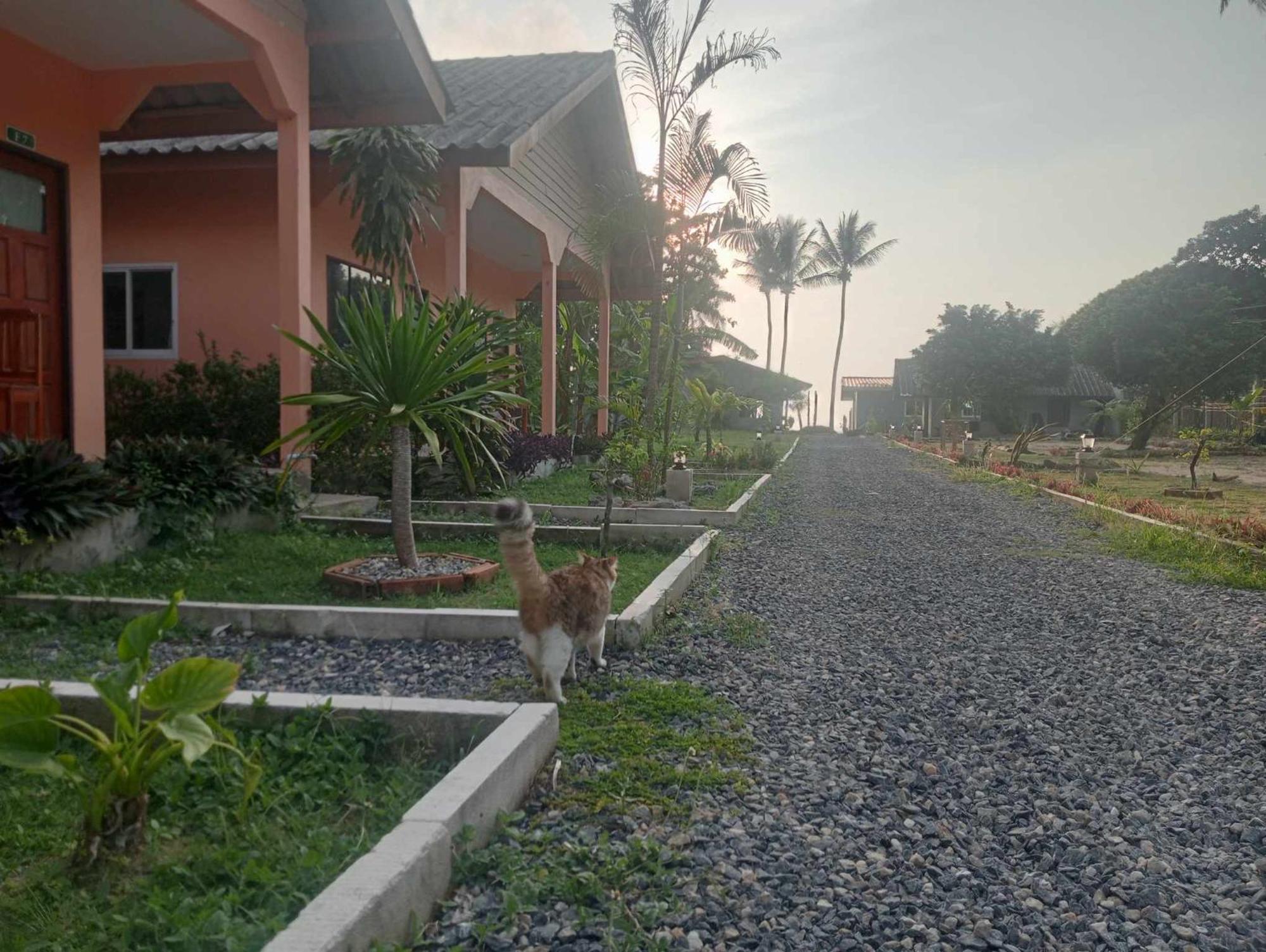 Scandinavian Beach Resort Ko Lanta Eksteriør bilde